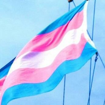 Cientèfica, feminista de marge, física, indy, trans, bach, mare, lianta. He escrit #UnaMujer #UnaDona. Tertu #TotEsMouTV3.
Trobeu-me a Bluesky per DM i opinió.