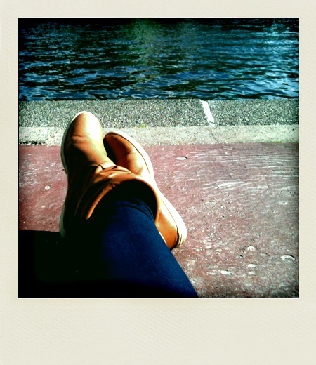 WindowViews's profile picture. Artist, Educator & Activist. Documentary video/photography. Next project: Capturing the road to Santiago de Compostela. love science, world cultures & religions