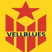 VellBlues ||*|| 🎗 Josep Maria M.P.(@Elvellblues) 's Twitter Profile Photo