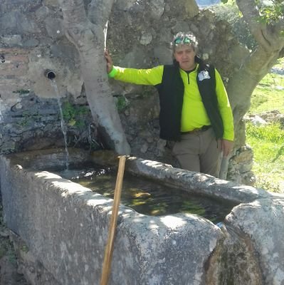 Deportes