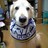 tinkpongo's profile image