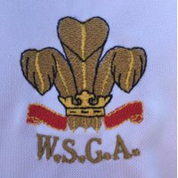 Welsh Schools Golf(@WelshSchoolsGA) 's Twitter Profile Photo