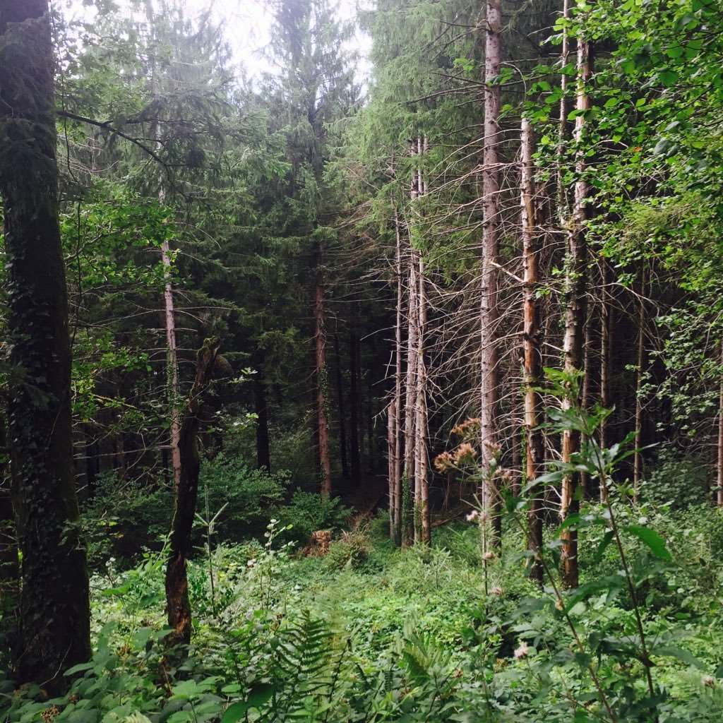 ambrounette38's profile picture. étudiante en business