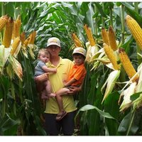 Clif Hardison (@swcseeds13) 's Twitter Profile Photo Clif Hardison (@swcseeds13) 's Twitter Profile Photo