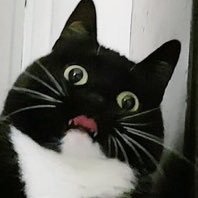 TigerMcMeowMeowFace (@tsukasatiger) 's Twitter Profile