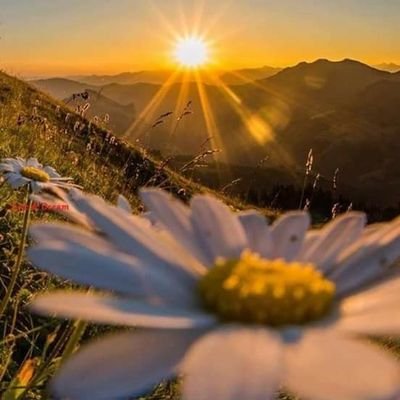 SalomeR08095997's profile picture. se recomienda usar el pasado como trampolín, no como sofá.