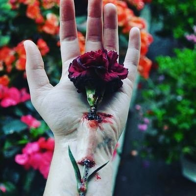 DeadUnicornni's profile picture. 