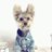 wicket_lee's profile image