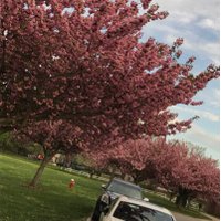 Hope (@hopeisthej) 's Twitter Profile