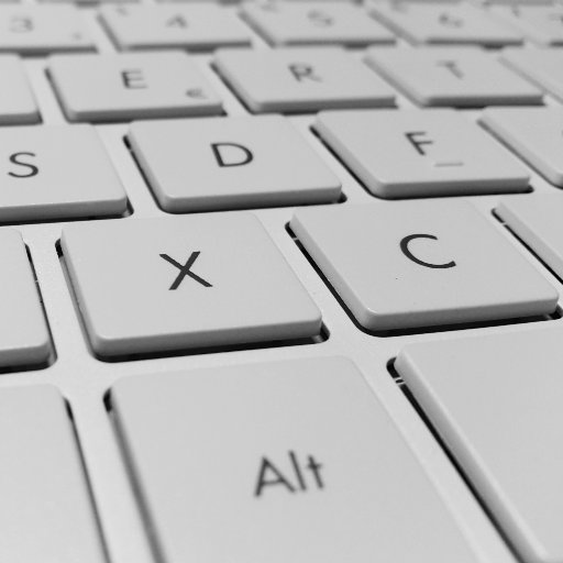 CodingCooking's profile picture. Blog Account from @carlomr