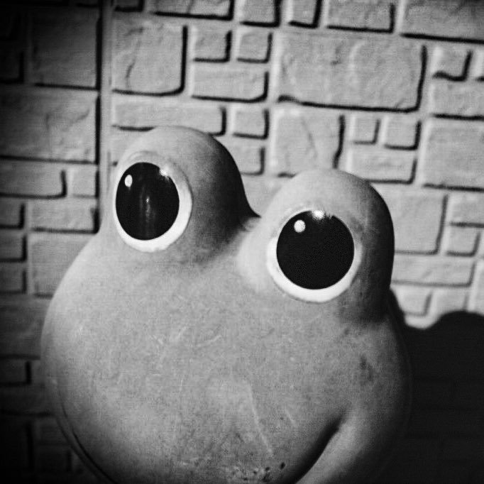 santa_2511's profile picture. ♂ ／ お気楽に生きているジジイが適当に撮っている写真 ／ カメラは散歩のお供