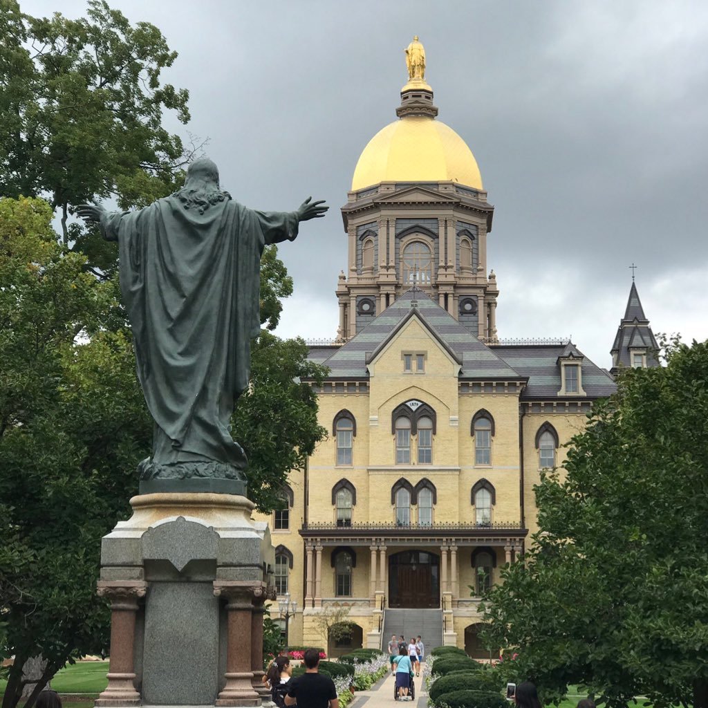 JimJimgill8's profile picture. 