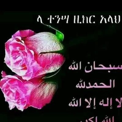 hijabenewwebt's profile picture. 