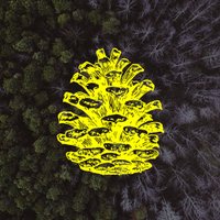 MGNTK. ® (@mgntkrsrch) 's Twitter Profile Photo