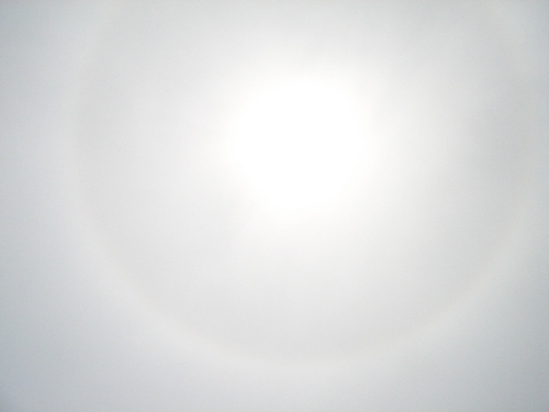 ayapon1119's profile picture. I have Ulcerative colitis, like a calligraphy such as Japanese, Latin, Arabic and more!! Beautiful words are best art of my life and traveling around the world!