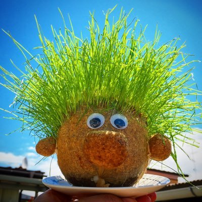 sho3haru0's profile picture. 