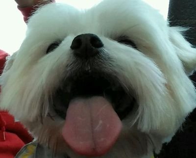 BangBlah1's profile picture. 