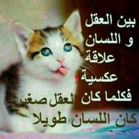 tabadol +40 (@libya71libya) 's Twitter Profile