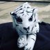 Tiger (@shaizlocobuzz) Twitter profile photo Tiger (@shaizlocobuzz) Twitter profile photo