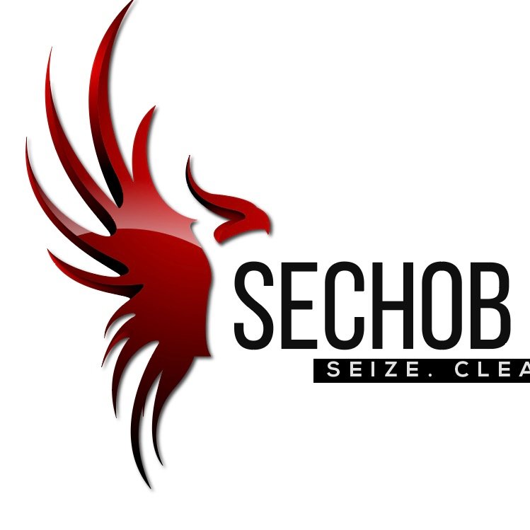 sechoboffensive's profile picture. multidisciplinary cyber struggle