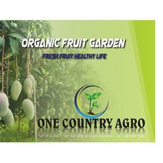 Agro Based Business In Bangladesh