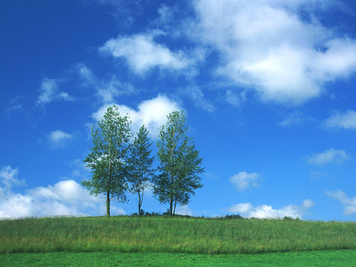 mitsuharu_yagi's profile picture. 尊敬する人物:坂口安吾、ドラッカー。好きなアーチスト:ミスチル、クイーン。見知らぬ土地にあこがれ、大学時代にインドを1周。卒業後、仕事で香港に半年住む。将来の夢：気の合う仲間と「水曜どうでしょう」のような旅をすること。