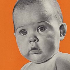bebe_rageur's profile picture. #Actualité #Politique
