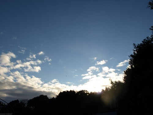 zuka11's profile picture. よろしくお願いします🥺