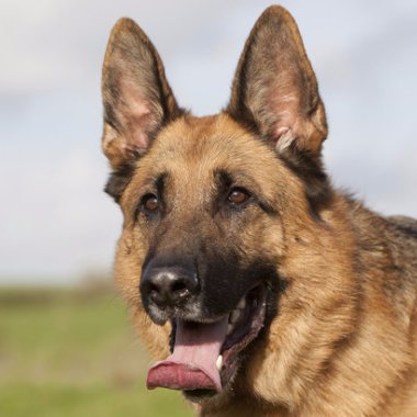 09jumbotron16's profile picture. 🤷‍♂️