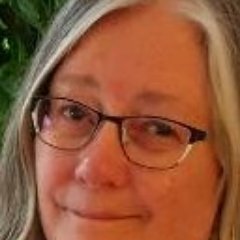 RobinatPlanNH's profile picture. 