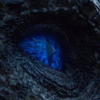 LittlerDragon's profile picture. 