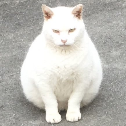 中西 尚也さんのプロフィール画像