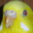 skyuyoukai's profile image