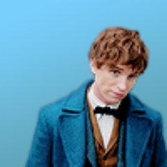 an updated profile about fantastic beasts and the tumblr network.