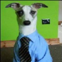 MS Biz & Tech Dept. (@nbbiztech) 's Twitter Profile