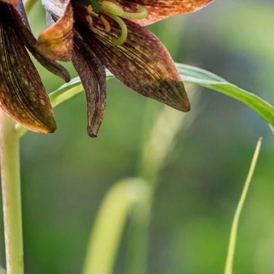 m96labd39x's profile picture. 