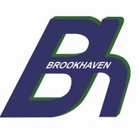Brookhaven PS(@brookhaven_ps) 's Twitter Profileg