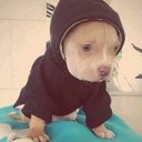 Irena Anna Hajduk - @HajdukIrena - Twitter