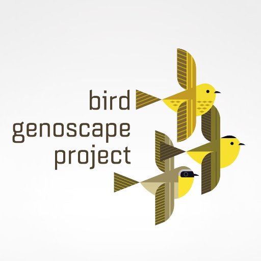 We create genomic connectivity maps, called genoscapes, for the full annual cycle of migratory birds. Our goal is to make genoscapes for at least 100 species!