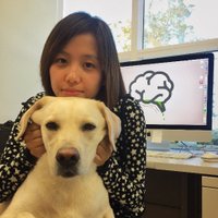 Jie Zheng (@zjmay1) 's Twitter Profile