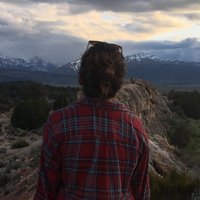 Lauren Leffer (@lauren_leffer) 's Twitter Profile Photo