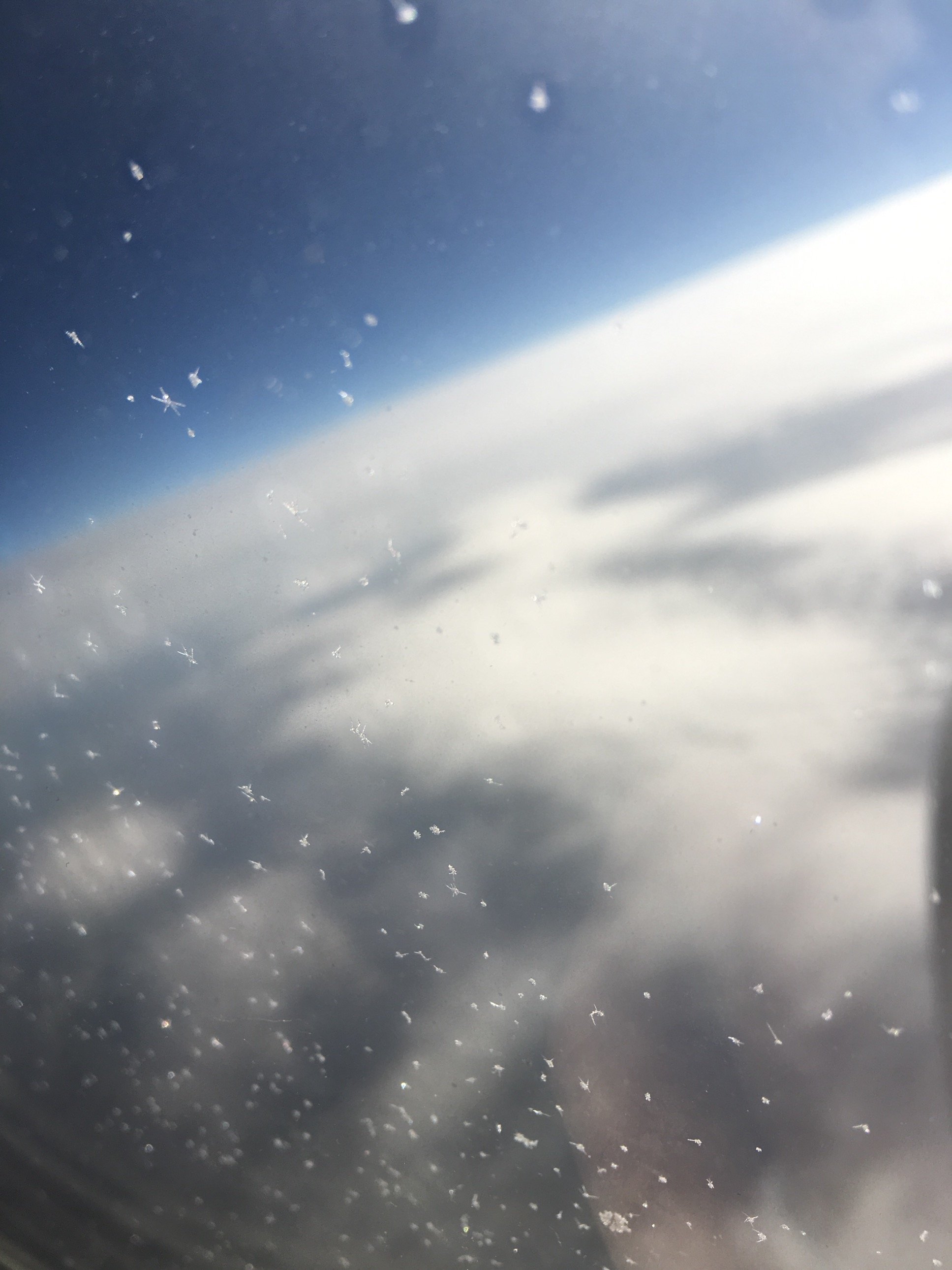 Uufgggjyhh's profile picture. İuj