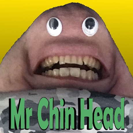 Mr ChinHead