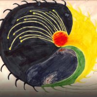 Red Elk Raven Neaka (@loisflanders) 's Twitter Profile