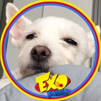 일당백 계옮 (@_d100s) 's Twitter Profile