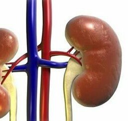 5PMpSk3DcP2wGdx's profile picture. ‏‏‏‏‏‏‏كليتي لتبرع #من جده#والتحاليل جاهزه#والله يشفي كل مريض #التواصل خااص