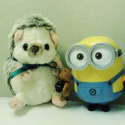 ふーか(吹奏楽アカ)さんのプロフィール画像