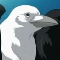 Crow Orihara(@crow_orihara) 's Twitter Profile Photo