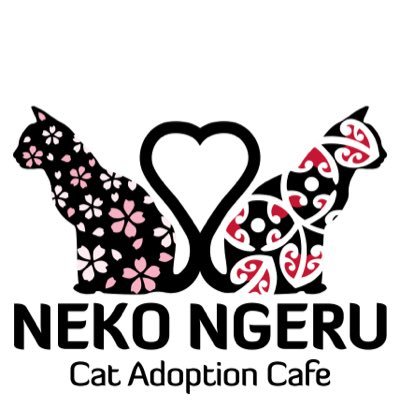 Wellington's first cat cafe is coming to Petone this November. Adoptable cats from rescue organizations around Wellington will play with you as you relax.