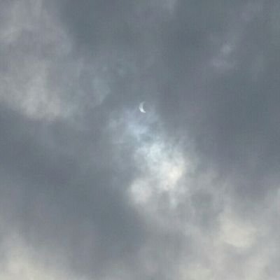 519272ddb03d433's profile picture. 